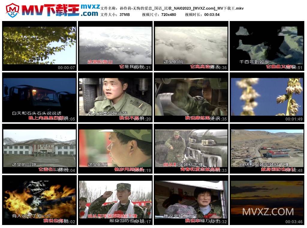 孙伶莉-无悔的爱恋_国语_民歌_NAI02023